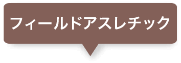 フィールドアスレチック